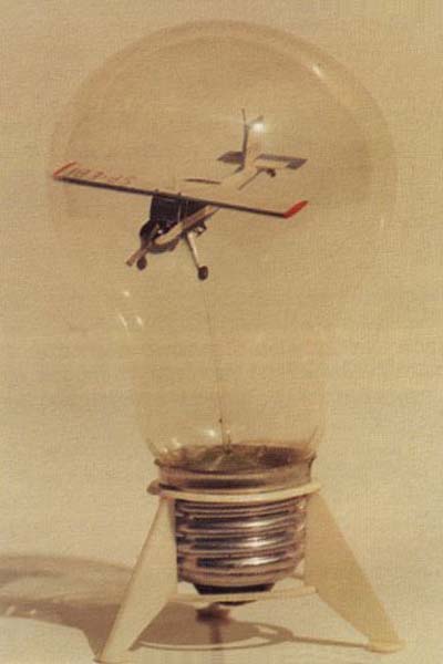 wilga-01